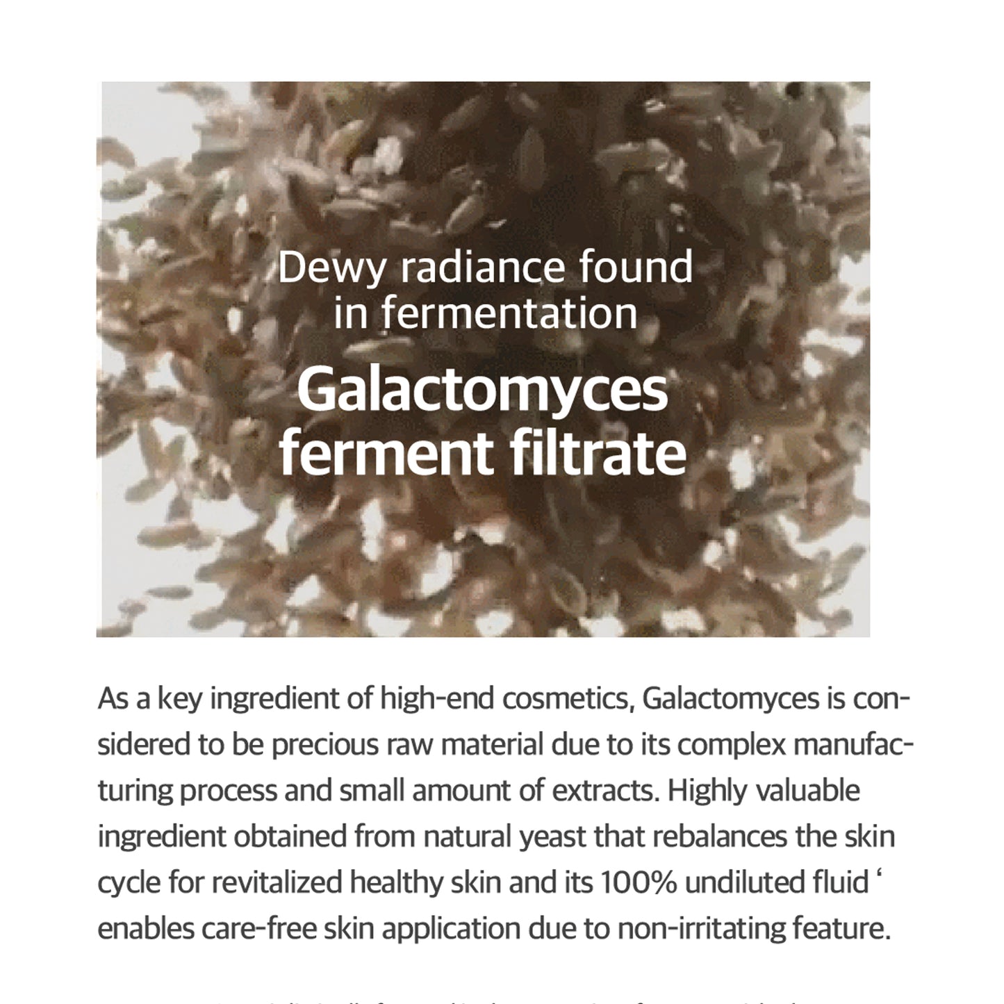 mixsoon Galactomyces Ferment Essence